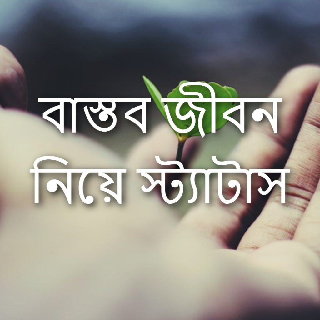 বাস্তব জীবন নিয়ে স্ট্যাটাস