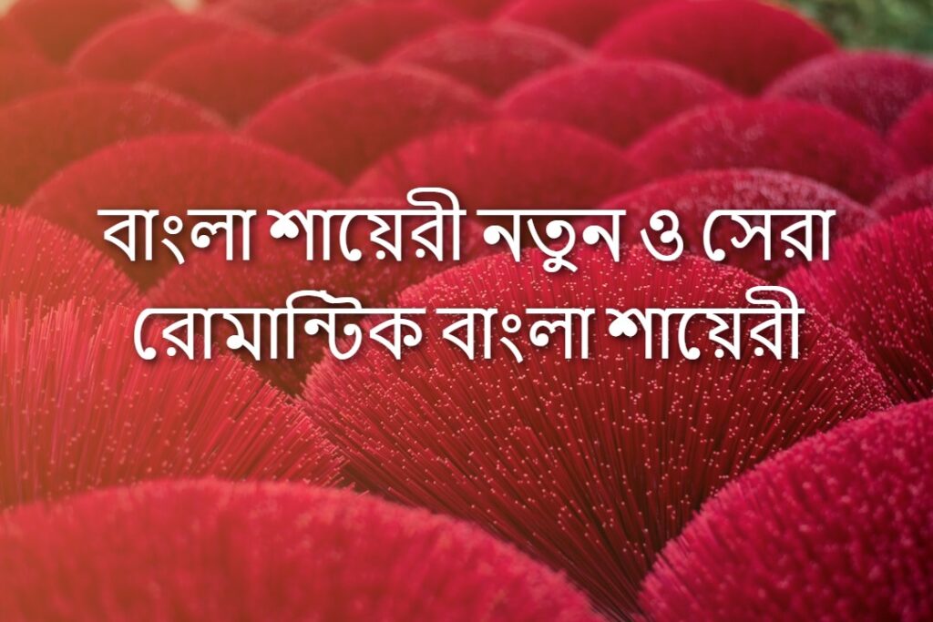 বাংলা শায়েরী নতুন ও সেরা রোমান্টিক বাংলা শায়েরী