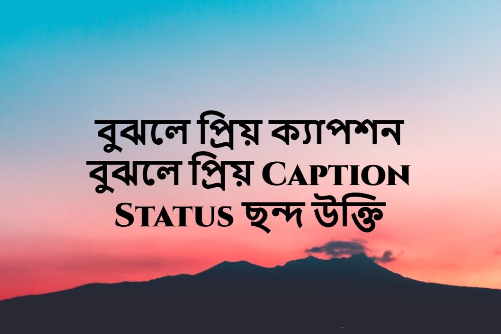 বুঝলে প্রিয় ক্যাপশন বুঝলে প্রিয় caption status ছন্দ উক্তি