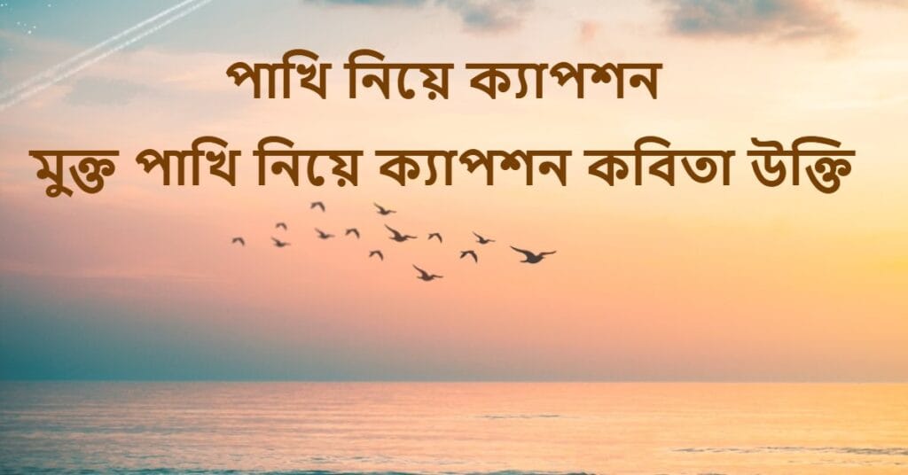 পাখি নিয়ে ক্যাপশন মুক্ত পাখি নিয়ে ক্যাপশন কবিতা উক্তি