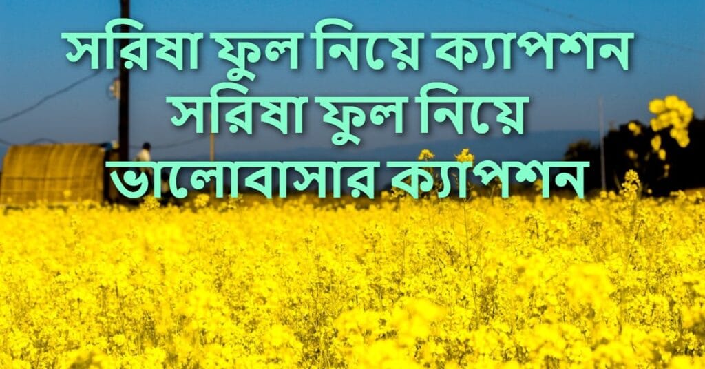 সরিষা ফুল নিয়ে ক্যাপশন সরিষা ফুল নিয়ে ভালোবাসার ক্যাপশন