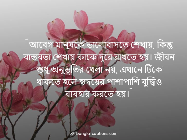 আবেগ ও বাস্তবতা নিয়ে উক্তি
