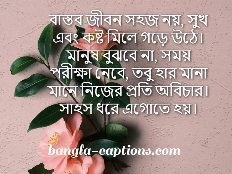 বাংলা স্ট্যাটাস বাস্তবতা