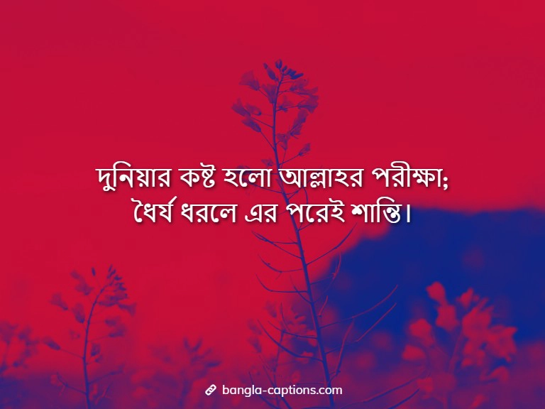 বাস্তব জীবন নিয়ে ইসলামিক স্ট্যাটাস