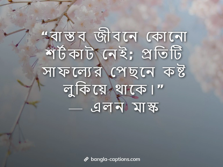 বাস্তব জীবন নিয়ে এলন মাস্ক