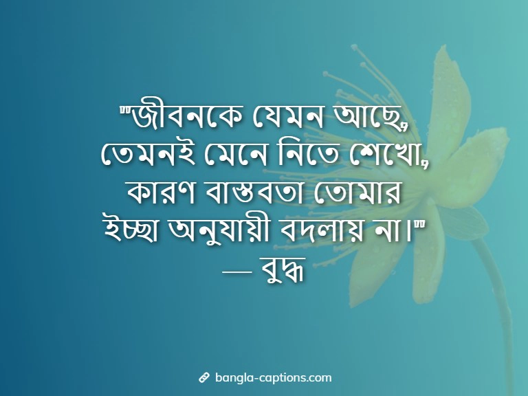 বাস্তবতা ও বাস্তব জীবন নিয়ে কিছু উক্তি