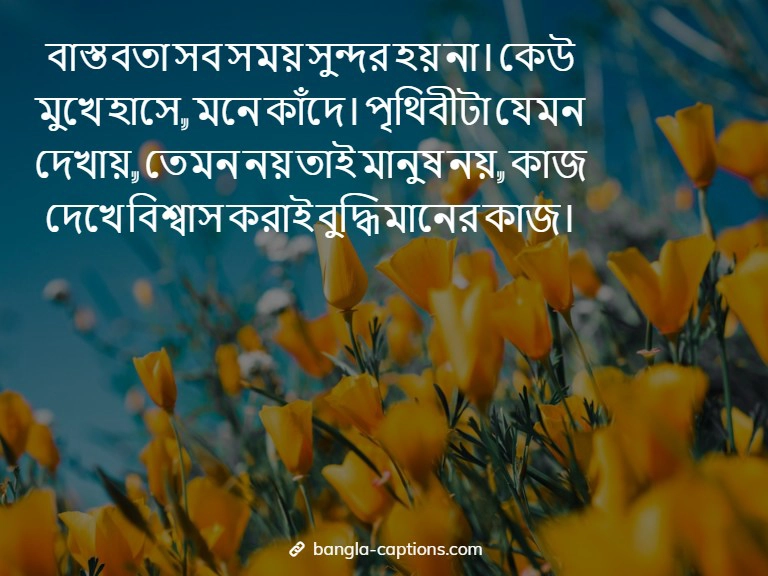 বাস্তবতা নিয়ে ফেসবুক স্ট্যাটাস